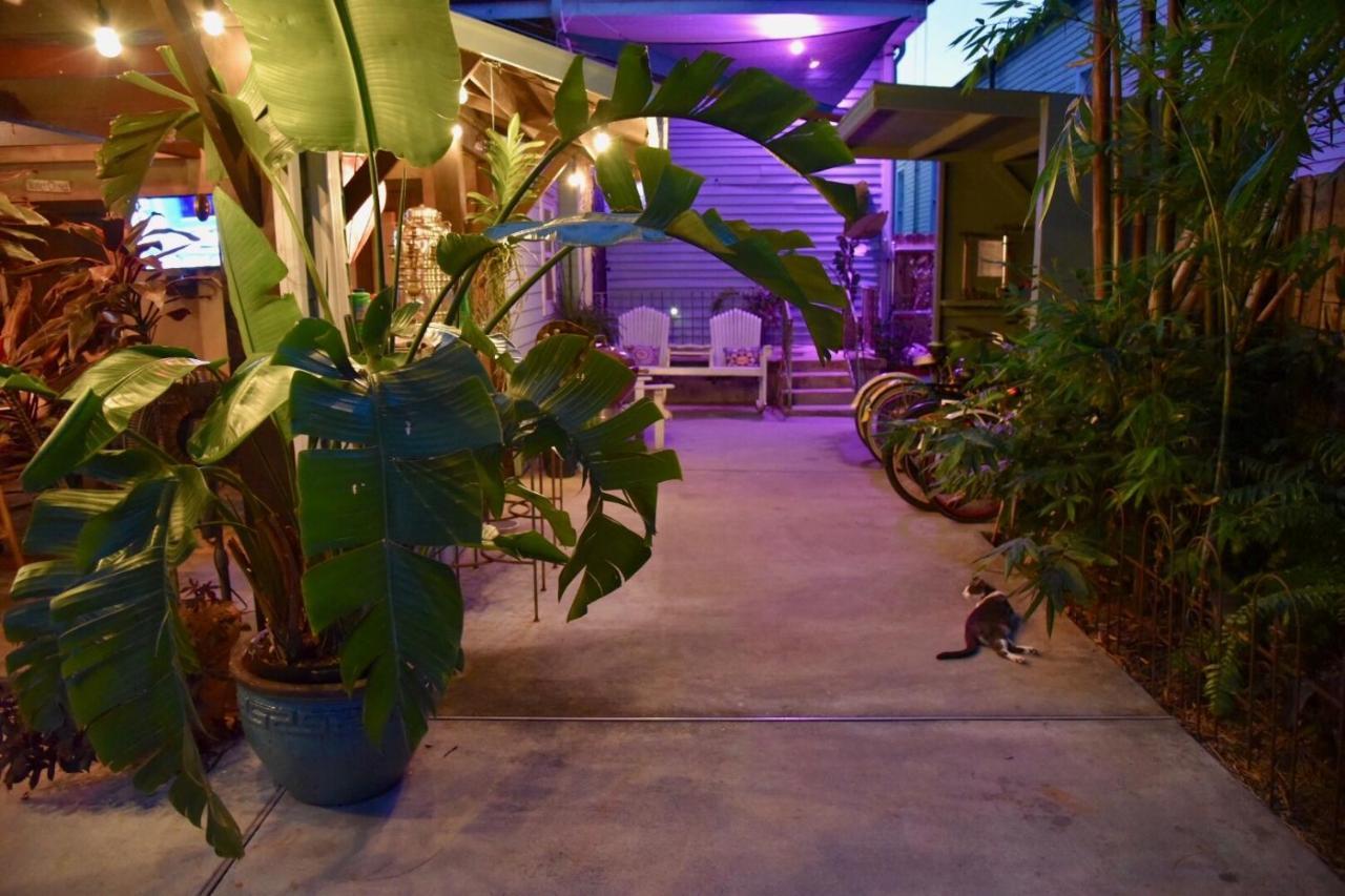 The Dragonfly Treme Guest House New Orleans Bagian luar foto