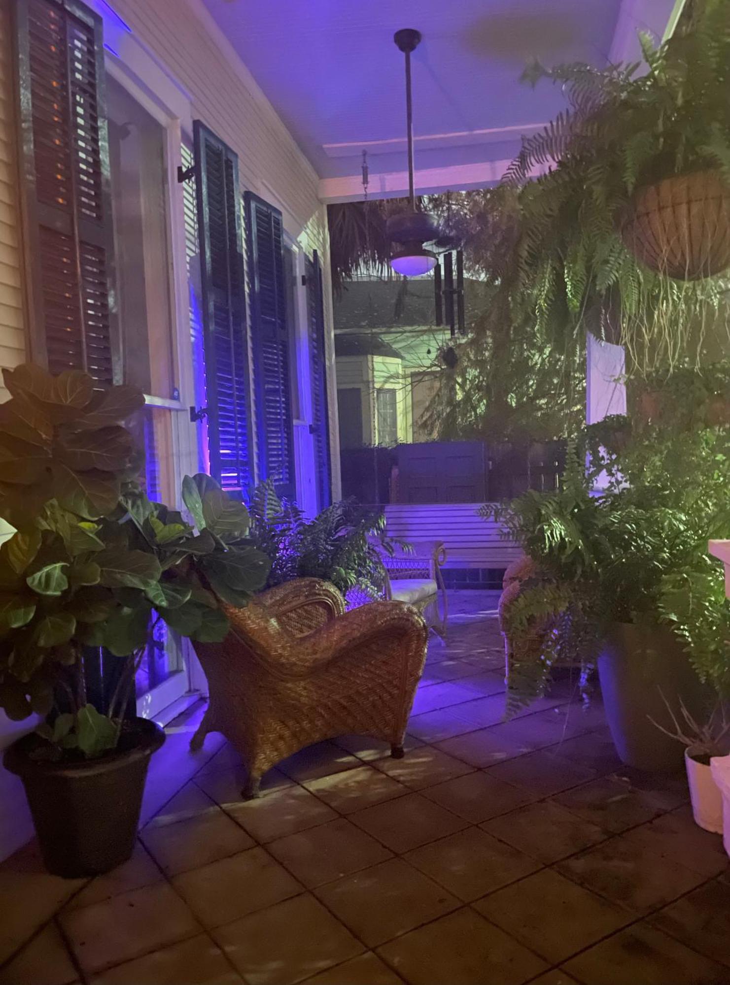 The Dragonfly Treme Guest House New Orleans Bagian luar foto