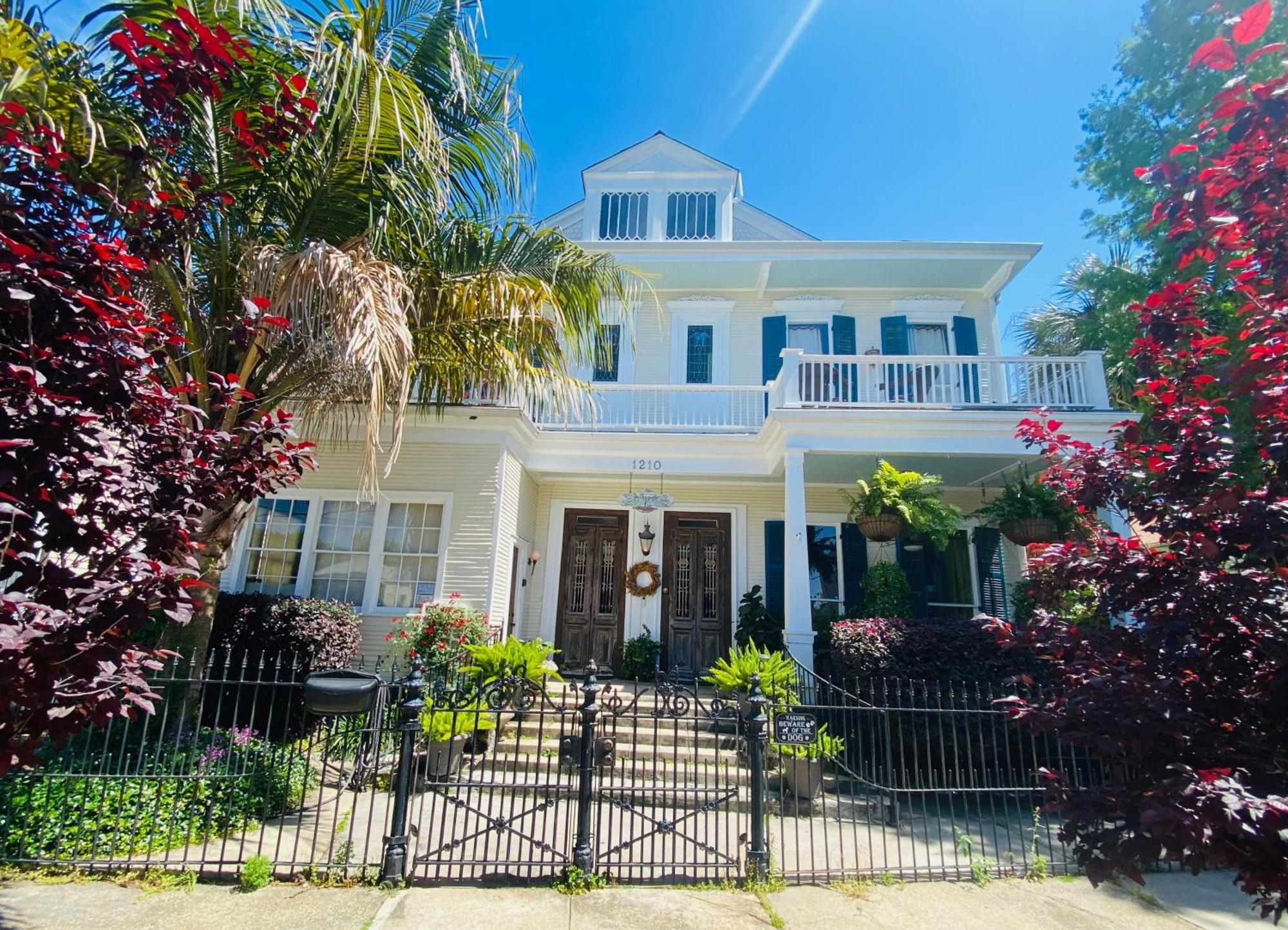 The Dragonfly Treme Guest House New Orleans Bagian luar foto