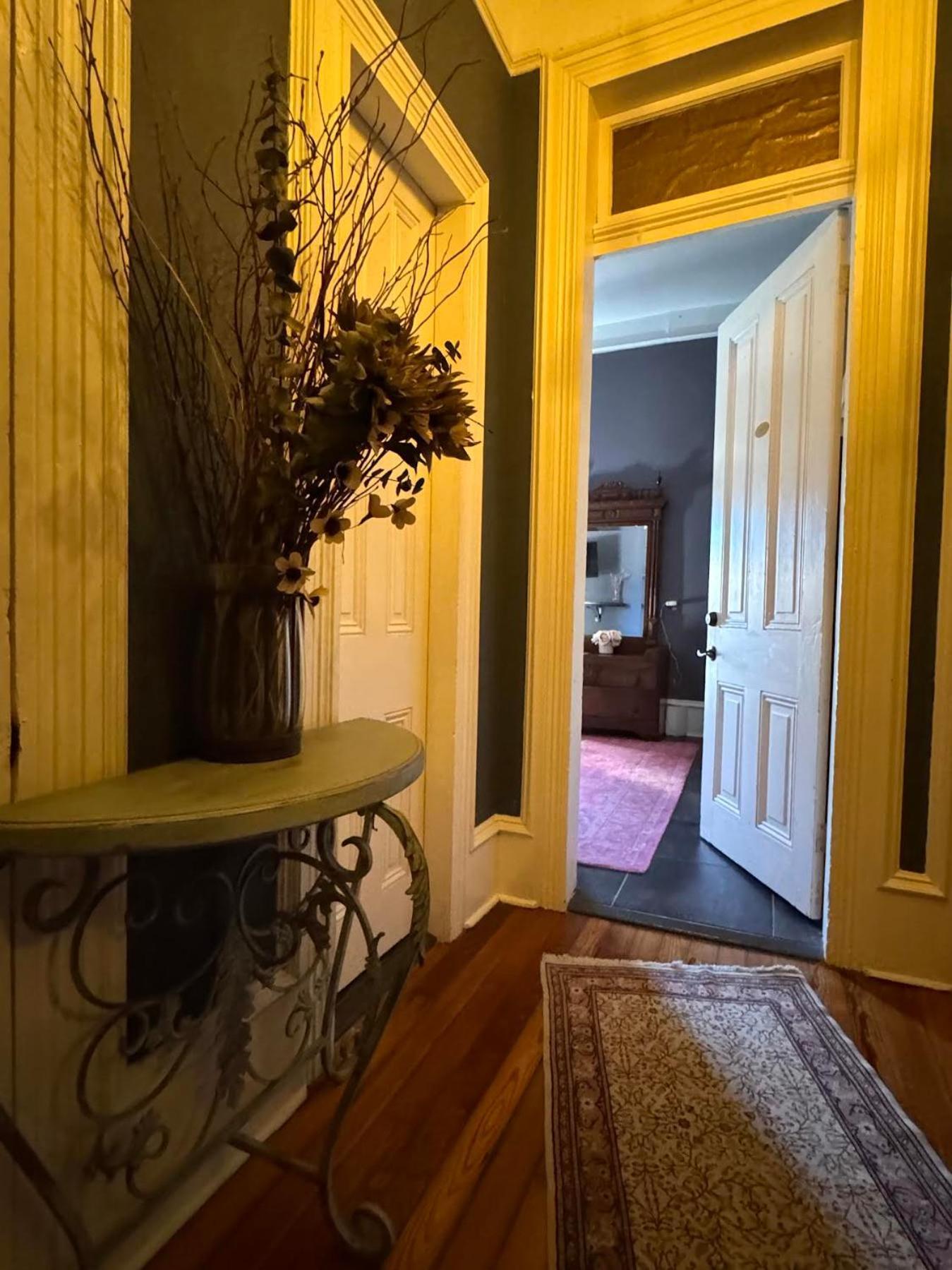 The Dragonfly Treme Guest House New Orleans Bagian luar foto