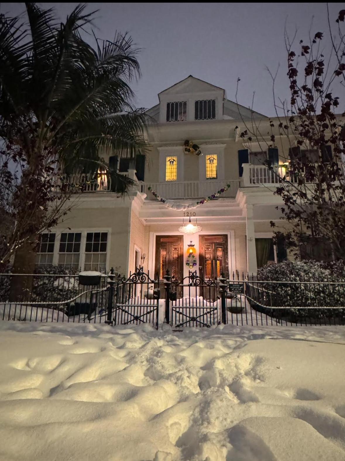 The Dragonfly Treme Guest House New Orleans Bagian luar foto
